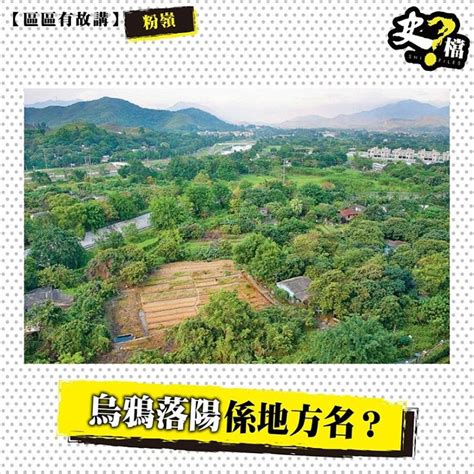 烏鴉落陽風水|烏鴉落陽係地方名？ 